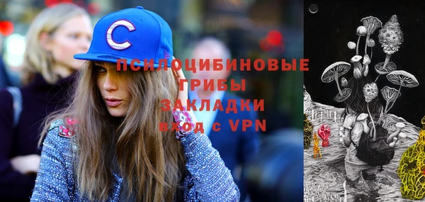 спайс Аркадак