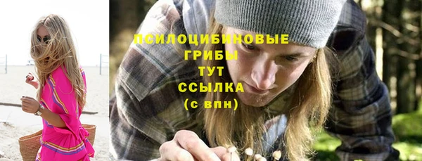 винт Армянск